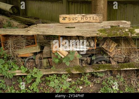 Bug Hotel, Surrey, Großbritannien Stockfoto