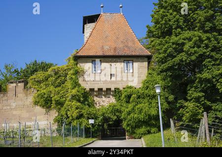 Schloss Hohenbeilstein, Bergschloss Beilstein, Landkreis Heilbronn, Baden-Württemberg, Deutschland, Europa Stockfoto