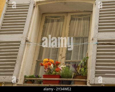 Ein Fenster mit offenen Fensterläden und Blumentöpfen vor beigefarbenen Wänden und transparenten Vorhängen, Cannes, Mittelmeer, Frankreich, Europa Stockfoto