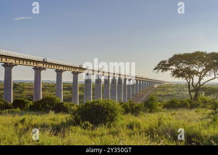 Blick auf den Viadukt von Nairobi railroad in der Savanne von Nairobi Park im Zentrum von Kenia Mombasa Stockfoto