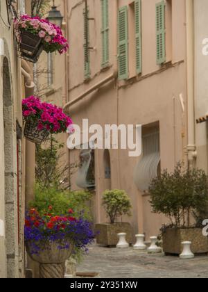 Blühende Gasse mit bunten Blumen in Töpfen, umgeben von rosa Gebäuden und geschlossenen Rollläden, Cannes, mittelmeer, frankreich Stockfoto