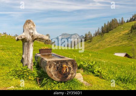 Landschaft mit hölzernem Trinktrog, Weiden und Bergen, Blick auf den Schafberg, Postalmplateau, Österreich Stockfoto