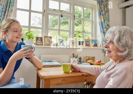 Weibliches Zuhause Hilfe Mit Tasse Tee Mit Einsamen Senior Frau In Der Küche Stockfoto