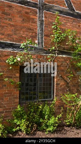 Eine Fassade Eines Fachwerkhauses, das mit Einer Rose im Geburtshaus von Shakespeare in Stratford upon Avon in England dekoriert ist Stockfoto