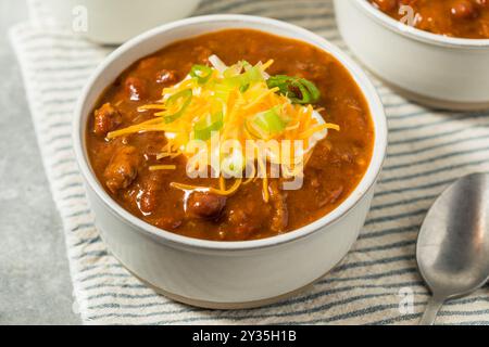 Mexikanisches hausgemachtes Rindfleisch Chili Con Carne mit Käse und Zwiebeln Stockfoto