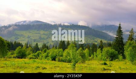 Nebliges Karpaten-Bergtal nach dem Regen. Breites Foto. Stockfoto