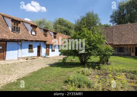 Courtyard, King Charles III. Anwesen, Viscri, Rumänien Stockfoto