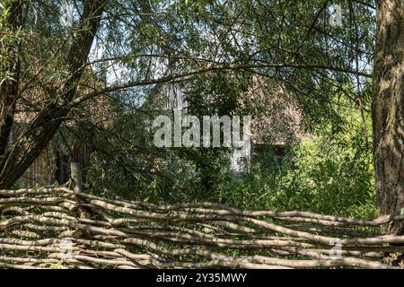 Zaun, König Karl III., Viscri, Rumänien Stockfoto