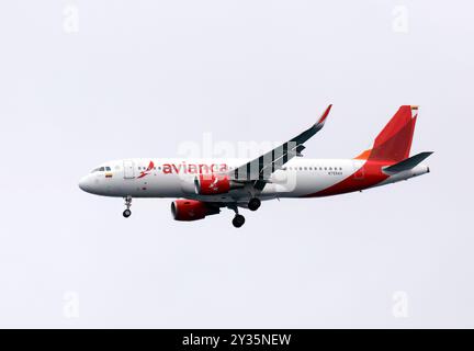 Avianca, (Aerovias del Continente Americano S.A.), Airbus A320, Santa Cruz Island, Galápagos, Ecuador, Südamerika Stockfoto