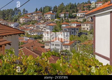 Weinreben Pflanzen traditionelle weiße Häuser in Hill in der Altstadt von Ohrid Nordmazedonien Stockfoto