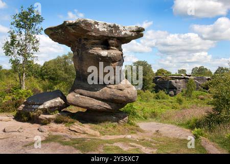 Felsformation in Form eines Mannes mit Hut, einer der berühmten Felsbrocken von Brimham Rocks, Brimham Moor, Summerbridge, Harrogate, Nidderdale, Yorkshire, England Stockfoto