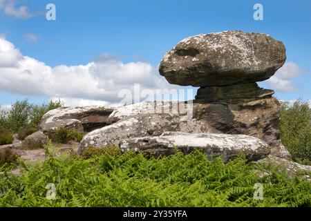 Pilzgestein in Form eines Außerirdischen, Brimham Rocks, Brimham Moor, Summerbridge, Harrogate, Nidderdale, Yorkshire, England Stockfoto