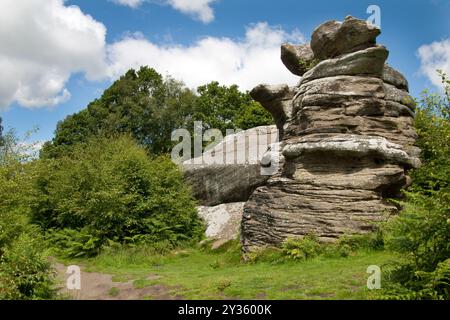 Dancing Bear, Brimham Rocks, Brimham Moor, Summerbridge, Harrogate, Nidderdale, Yorkshire, England Stockfoto