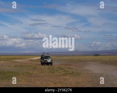 Ein Touristenfahrzeug im Geländewagen während einer Pirschfahrt in einer afrikanischen Safari Stockfoto