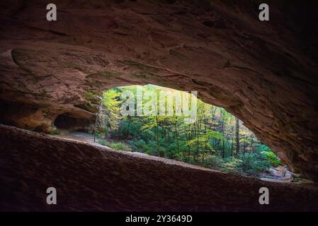 Sand Cave in Cumberland Gap National Historical Par Stockfoto