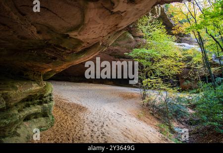 Sand Cave in Cumberland Gap National Historical Par Stockfoto