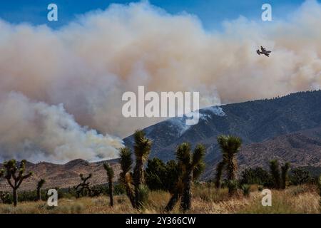 Phelan, Kalifornien, USA. September 2024. Ein Löschflugzeug fliegt über dem Bridge Fire, während Rauch den Himmel im Angeles National Forest erfüllt, wie aus der Wüste direkt am Pear Blossom Highway zwischen Llano und Phelan, Kalifornien, zu sehen ist. (Kreditbild: © Amy Katz/ZUMA Press Wire) NUR REDAKTIONELLE VERWENDUNG! Nicht für kommerzielle ZWECKE! Stockfoto