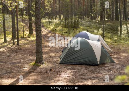 Zwei Campingzelte sind in einer ruhigen Waldlichtung mit hohen Bäumen und sanftem Sonnenlicht, das durch die Äste filtert, aufgestellt Stockfoto