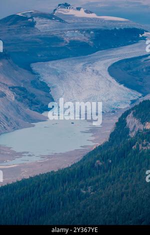 Saskatchewan-Gletscher und der herrliche Mount Athabasca von der Spitze des Parker Ridge, Banff National Park Stockfoto