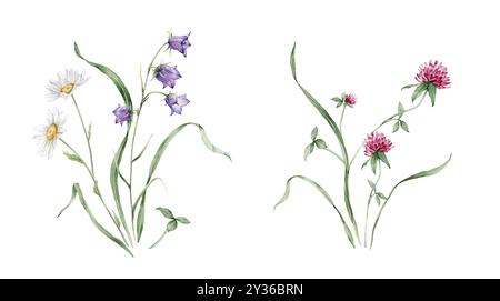 Botanische Blumensträuße mit Blumensträußen im Sommer. Handgezeichnete Illustration von Kamille und Klee, Blauglocke. Gelb weiß und violett rosa Stockfoto