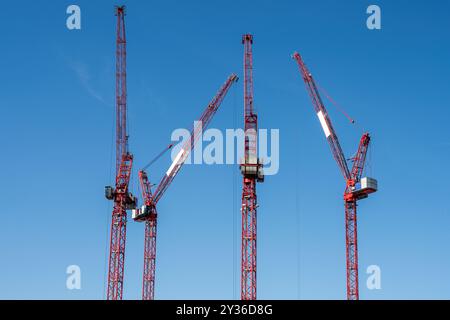 Vier rote Turmkräne auf einer Baustelle in Berlin Stockfoto