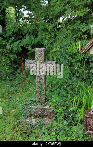 Rowner Lane, Gosport, Hampshire, England. 6. September 2024. Ein Steinkreuzdenkmal mit Efeu auf der Oberfläche. Im Domesday Book wird erwähnt, dass Teile der St. Mary's Church in Rowner Lane, Gosport, auf 1.000 Jahre alt sind. Dieses Foto ist eines einer Serie, die ich kürzlich bei einer selbstgeführten Tour durch die Kirche während der Gosport Heritage Open Days gemacht habe. Stockfoto