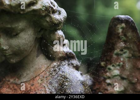 Rowner Lane, Gosport, Hampshire, England. 6. September 2024. Ein Spinnennetz auf einer Engelsstatue mit Wassertropfen aus Regen. Im Domesday Book wird erwähnt, dass Teile der St. Mary's Church in Rowner Lane, Gosport, auf 1.000 Jahre alt sind. Dieses Foto ist eines einer Serie, die ich kürzlich bei einer selbstgeführten Tour durch die Kirche während der Gosport Heritage Open Days gemacht habe. Stockfoto
