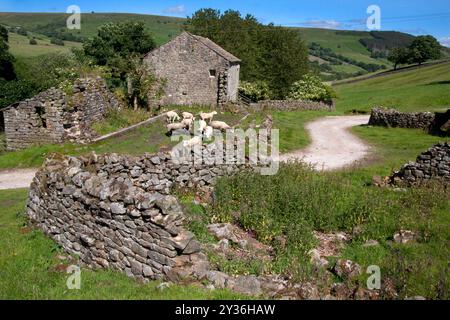 Blayshaw Barn, Upper Nidderdale, Nidderdale National Landscape, N. Yorkshire, England Stockfoto