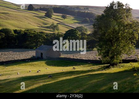 Blick von Middlesmoor, Upper Nidderdale, Nidderdale National Landscape, N. Yorkshire, England Stockfoto