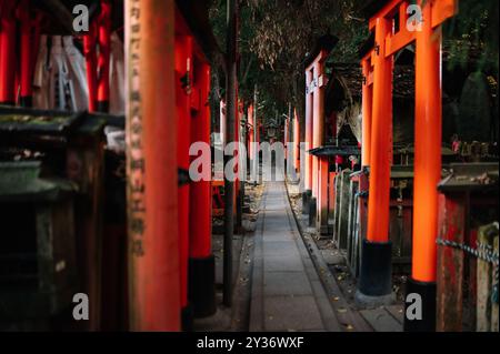 Ruhiger Blick auf einen schmalen Pfad, der sich durch Reihen von leuchtenden orangen Torii-Toren am Fushimi Inari-Schrein schlängelt, gesäumt von kleinen Schreinen und Statuen. Stockfoto