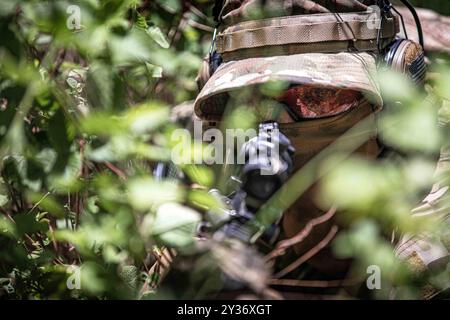 Salinas, Puerto Rico. August 2024. Khaled Merle, ein Schützling der Alpha Kompanie, 1. Bataillon, 296. Infanterieregiment, Puerto Rico Army National Guard, stellt Sicherheit am Zielpunkt im Rahmen eines Validierungstrainings vor der Mobilisierung im Camp Santiago Joint Training Center, Salinas, Puerto Rico, am 23. August 2024. Während der Veranstaltung führten die Soldaten verschiedene taktische Operationen durch, um sich auf den bevorstehenden Einsatz vorzubereiten. (Kreditbild: © U.S. Army/ZUMA Press Wire) NUR REDAKTIONELLE VERWENDUNG! Nicht für kommerzielle ZWECKE! Stockfoto