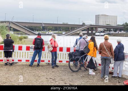 Ein Teil der Carolabrücke in Dresden ist auf einer Länge von rund 100 Metern eingestürzt. Zahlreiche Schaulustige und Katastrophen-Touristen kommen an die Elbe, besonders auf die Brühlsche Terrasse, um einen Blick auf die eingestürzten Brückenteile zu werfen und Handyfotos zu machen. Die Carolabrücke ist eine der vier Elbbrücken in der Dresdner Innenstadt. Sie werden im Süden in der Altstadt durch den Rathenauplatz und im Norden in der Inneren Neustadt durch den Carolaplatz begrenzt. Von 1971 bis 1991 trug die Brücke nach dem früheren sächsischen Ministerpräsidenten und Dresdner Oberbürgermeiste Stockfoto