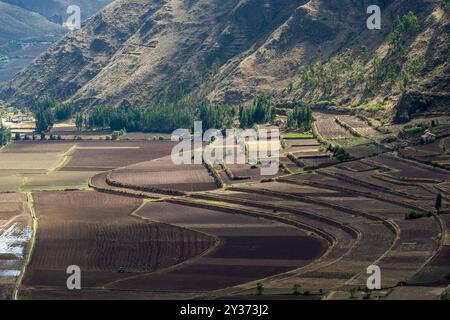 Die Ruinen von Pisac sind eine der bedeutendsten und gut erhaltenen archäologischen Stätten der Inka im Heiligen Tal Perus. Stockfoto