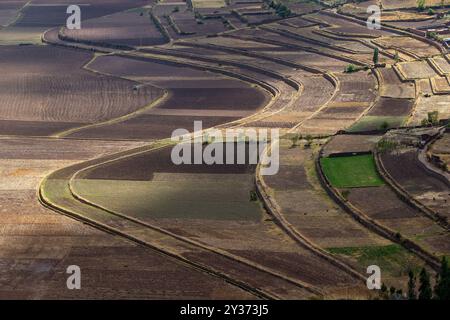 Die Ruinen von Pisac sind eine der bedeutendsten und gut erhaltenen archäologischen Stätten der Inka im Heiligen Tal Perus. Stockfoto