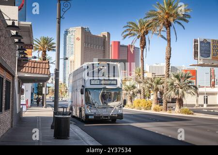 LAS VEGAS - 18. AUGUST 2024: Deuce Doppeldeckerbus auf dem Las Vegas Strip, Nevada. Die von RTC betriebene Deuce auf dem Streifen ist ein Nahverkehrsbus Stockfoto