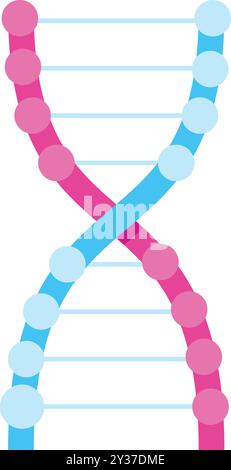 Bunte dna-Doppelhelixstruktur, die menschliches Genom auf weißem Hintergrund repräsentiert Stock Vektor