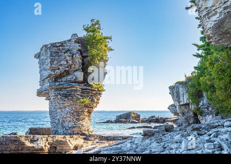 Flowerpot Island ist Teil des Fastom Five National Marine Park, der Wanderwege entlang der zerklüfteten Küste bietet, einschließlich einer zu seiner berühmten Blume Stockfoto