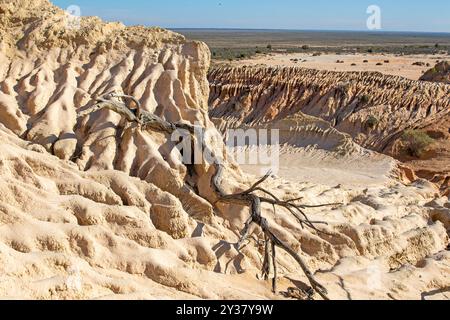 Formationen an den Mauern der China-Dünen im Mungo-Nationalpark Stockfoto