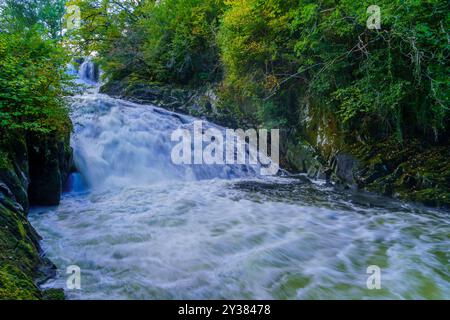 Blick auf den Swallow Falls Waterfall (Rhaeadr Ewynnol), im Snowdonia National Park, im Norden von Wales, Großbritannien Stockfoto