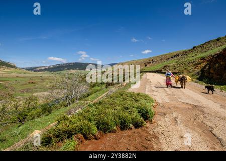 Traditionelle Kulturen, Ifran Nationalpark, Mittlerer Atlas, Marokko, Afrika Stockfoto