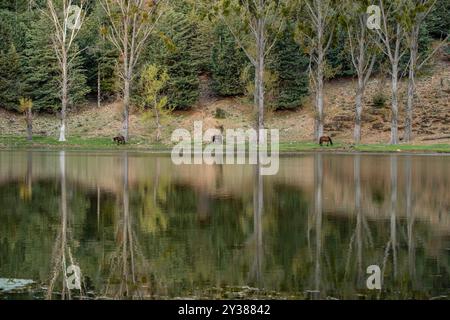 See Ouiouane, Provinz Khénifra, Marokko, Afrika Stockfoto