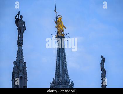 Spitzen der Türme des Mailänder Doms, bei Sonnenaufgang (Lombardei, Italien) I pinnacoli delle guglie del Duomo di Milano all'alba (Italia) Stockfoto