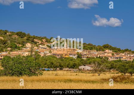 Dorf Santa Eugènia, in der Pla de Mallorca, hinter einigen goldenen Feldern zu Beginn des Sommers (Mallorca, Balearen, Spanien) Stockfoto