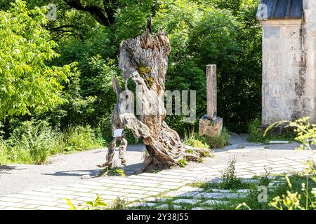 Dilijan, Armenien - 6. Juli 2024: Historischer Walnussbaum aus dem 13. Jahrhundert durch einen Blitzschlag im Innenhof des Klosters Haghartsin in der Nähe der Stadt Dilijan zerstört Stockfoto