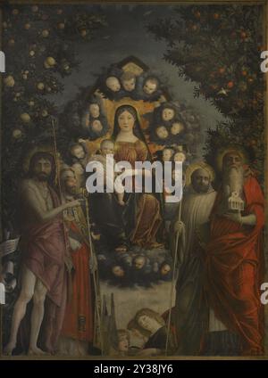 Andrea Mantegna (1431-1506). Italienischer Renaissance-Maler. "Trivulzio Madonna", 1497. Madonna in Ruhm mit St. Johannes der Täufer, Gregor der große, Benedikt und Jerome. Tempera auf Leinwand (287 x 214 cm). Pinacoteca Castello Sforzesco, Mailand, Italien. Stockfoto