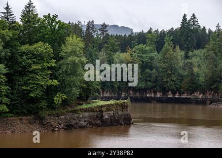 Bila Tremesna, Tschechische Republik. September 2024. Die Wasserverwalter haben begonnen, mehr Wasser aus dem Stausee Les Kralovstvi an der Elbe zu entwässern, da Überschwemmungen in Bila Tremesna (Tschechische Republik) am 13. September 2024 drohen. Meteorologen zufolge soll es stark regnen, was den Flussspiegel deutlich erhöhen könnte. Quelle: David Tanecek/CTK Photo/Alamy Live News Stockfoto