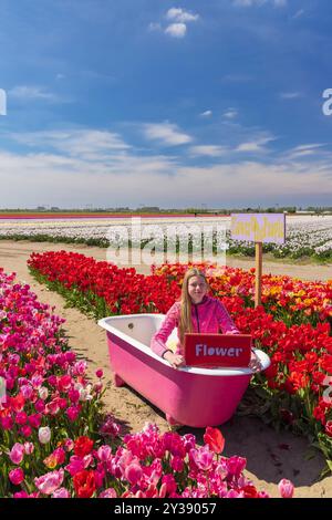 Tulpenfeld mit rosafarbener Badewanne in der Nähe des Keukenhof, Niederlande Stockfoto