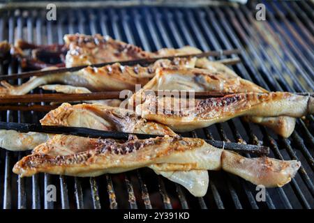 Gegrilltes Hühnchenfleisch auf dem Grill Stockfoto