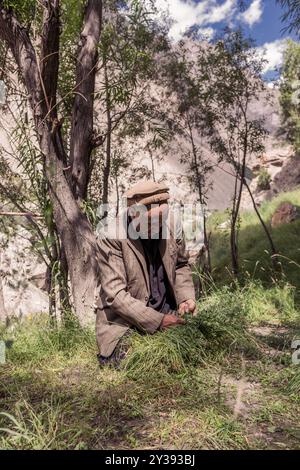 Der Bauer wird Gras aus dem Dorf Hushe sammeln Stockfoto