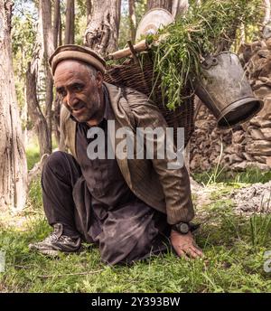 Der Bauer wird Gras aus dem Dorf Hushe sammeln Stockfoto